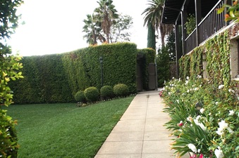 Enlarge photo 19