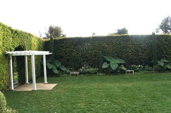 Enlarge photo 18