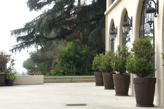 Enlarge photo 37