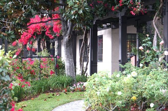 Enlarge photo 48