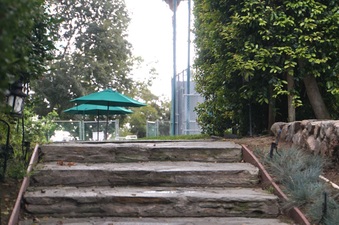 Enlarge photo 76