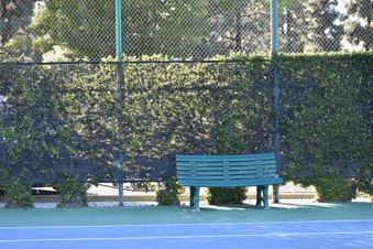 Enlarge photo 74