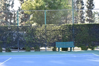 Enlarge photo 83