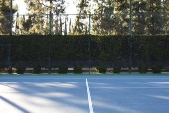 Enlarge photo 12