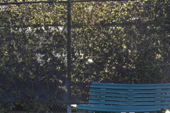 Enlarge photo 35