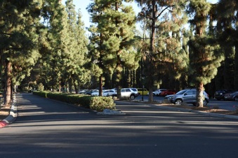 Enlarge photo 52