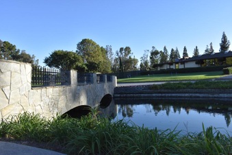 Enlarge photo 71