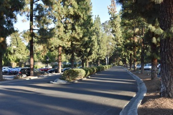 Enlarge photo 87