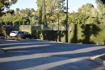 Enlarge photo 86