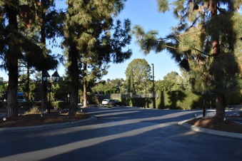 Enlarge photo 95