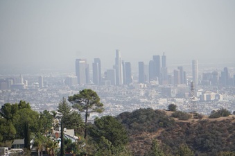 Enlarge photo 29