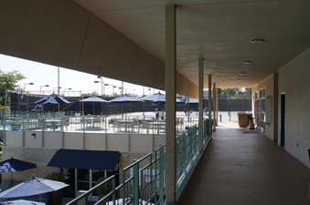 Enlarge photo 18