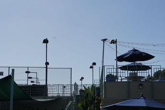 Enlarge photo 26