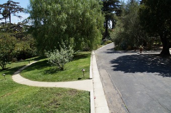 Enlarge photo 44