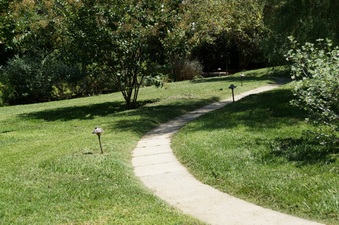 Enlarge photo 46