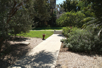 Enlarge photo 48