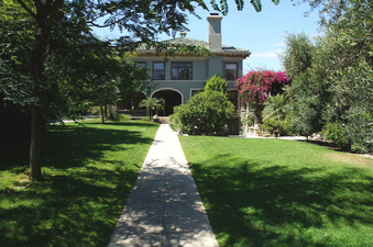 Enlarge photo 57