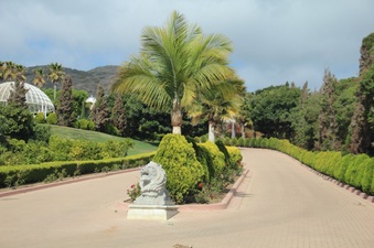 Enlarge photo 4
