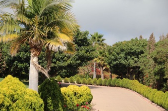 Enlarge photo 6