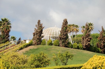 Enlarge photo 7