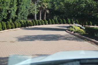 Enlarge photo 167