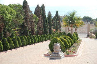 Enlarge photo 168
