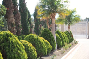 Enlarge photo 169