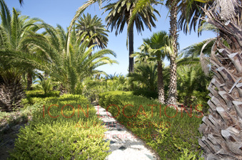 Enlarge photo 56
