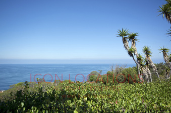 Enlarge photo 57