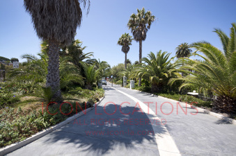 Enlarge photo 66