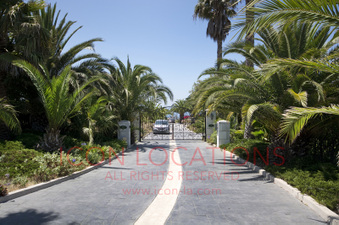 Enlarge photo 67