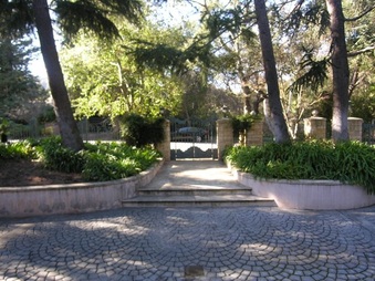 Enlarge photo 3