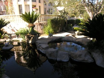 Enlarge photo 17