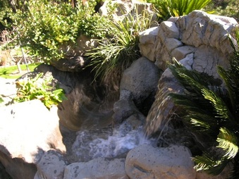 Enlarge photo 22
