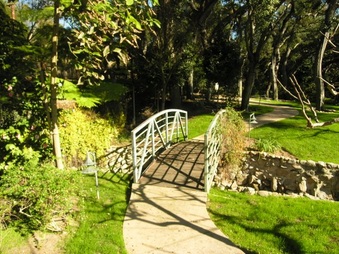 Enlarge photo 30