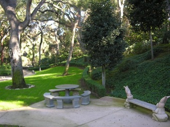 Enlarge photo 36