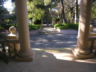 Enlarge photo 37
