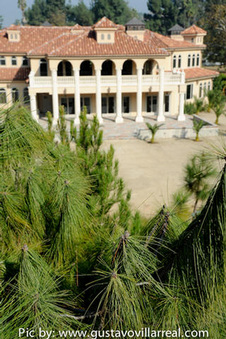 Enlarge photo 15