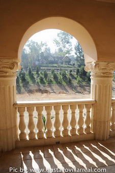 Enlarge photo 41
