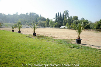 Enlarge photo 48