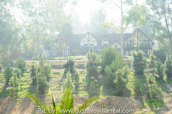 Enlarge photo 53
