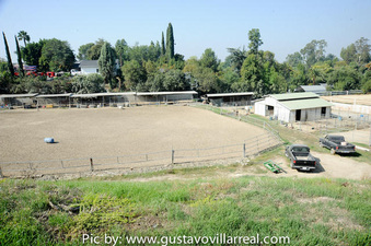 Enlarge photo 54