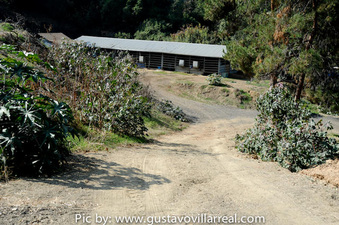 Enlarge photo 57