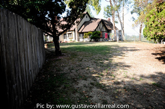 Enlarge photo 61