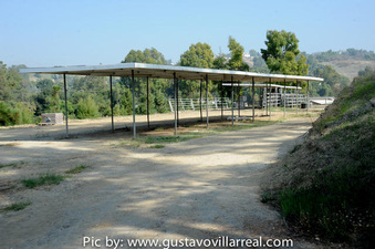 Enlarge photo 72