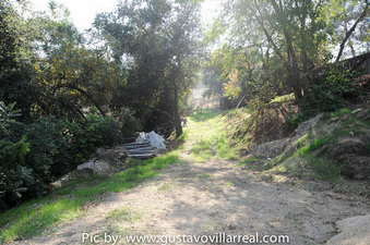 Enlarge photo 74