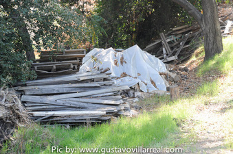 Enlarge photo 75