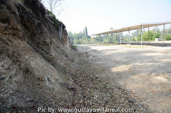 Enlarge photo 78