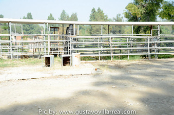 Enlarge photo 79