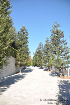 Enlarge photo 17